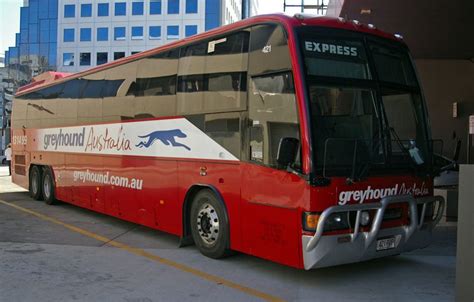 Brisbane To Maroochydore Bus Greyhound Express Discount Price