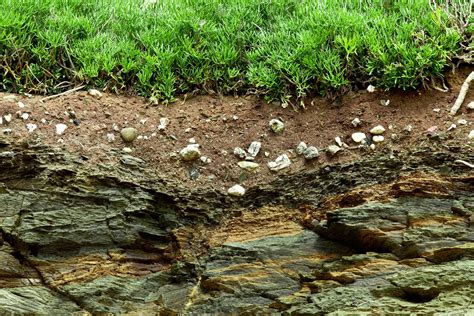 Rocks And Soil Plants Soil Types Of Soil
