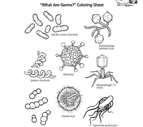 Draw Bacteria Cell Prokaryotic Prokaryotes Biology Drawing Easy