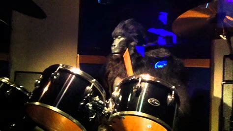 Gorilla Plays The Drums Cadbury World Birmingham Youtube