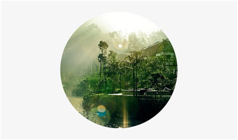 Forest Park And Crafted Landscape Forest Circle Png Free