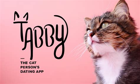 Free to use, the app features customizable. New Dating App "Tabby" Made Just for Cat-Lovers - CatGazette