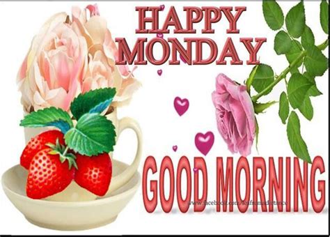 Happy Monday Good Morning Pictures Photos And Images