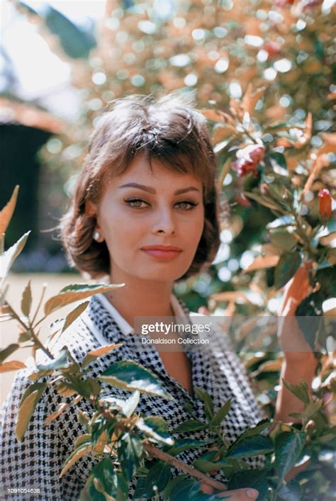 Italian Actress Sophia Loren Poses For A Portrait On August 20 1958