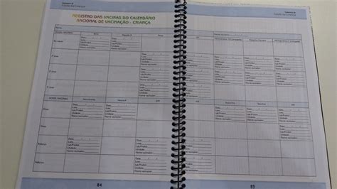 Compre online capa caderneta de vacinação por r$39,90. Caderneta De Vacinação 2017 Atualizada, Versão Para Menino ...