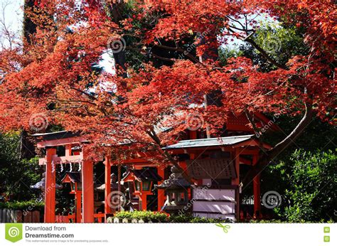 Red Autumn Leaves And Shrine Kyoto Japan Stock Photo Image Of Maple