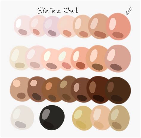 Skin Tone Reference Chart Hd Png Download Kindpng