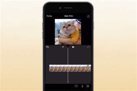 Educational content (lehrreicher und hilfreicher content). IG Reels erstellen - Top 5 IG Reels Video Editoren für ...
