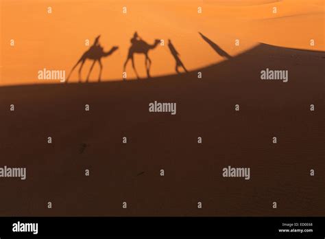 Morocco, Sahara Desert, Shadows of people and camels on sand Stock