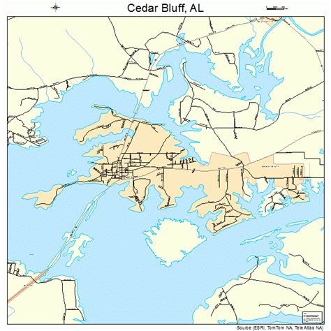 Cedar Bluff Alabama Street Map 0112760