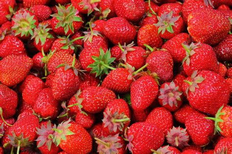 Strawberry Allergy Exploring Symptoms Causes And How To Manage The