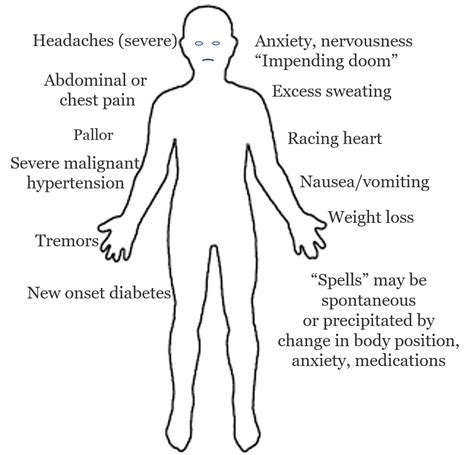 Symptoms Of Adrenal Glands Uklio