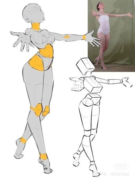 Anatomy Drawing Reference Poses