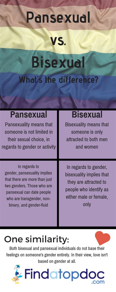 Pansexual Meaning In Dictionary Meanoin
