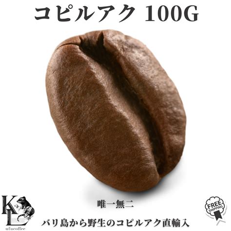 【楽天市場】コピルアック 送料無料 天然100 ジャコウネココーヒー 100g コピルアク シベットコーヒー コーヒー 珈琲豆 コーヒー豆