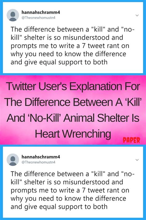Twitter Users Explanation For The Difference Between A ‘kill And ‘no
