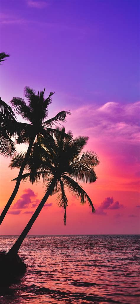 Download Wallpaper 1125x2436 Tropical Island Beach Pink Sky Sunset