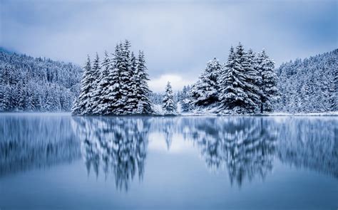 Landscape Nature Lake Forest Hill Overcast Reflection Winter Cold Snow Pine Trees