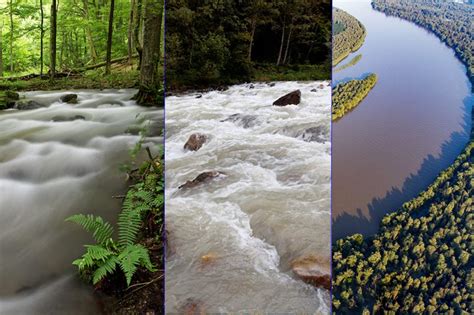 New river, without a doubt. Definitions of rivers, stream, brooks, creeks and other ...