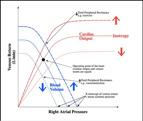 Mean Systemic Filling Pressure Optimizing Venous Return