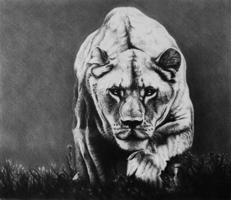 How to draw realistic flowers. 30 Amazing Realistic Pencil Drawings