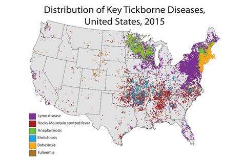 Lyme Disease Map Usa Pregnant Center Informations