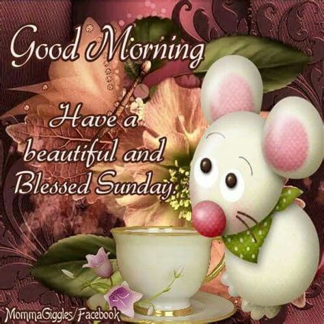 Sunday Pictures Morning Pictures Blessed Sunday Good Morning Picture