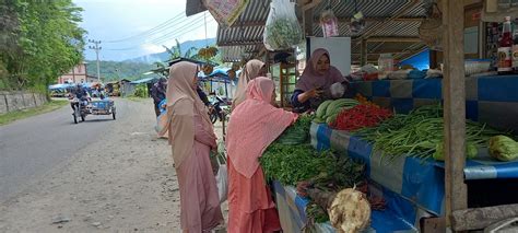 Petani Lokal Mulai Panen Harga Bawang Merah Di Aceh Turun