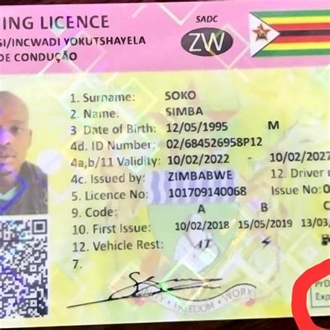 Everything You Need To Know About Zimbabwes Plastic Drivers Licence