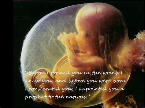 “before I Formed You In The Womb I Knew You And Before You Were Born I