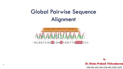 Bioinformatics Global Pairwise Sequence Alignment Youtube