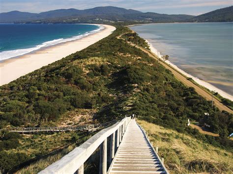 Bruny Island Tasmania Australias Guide