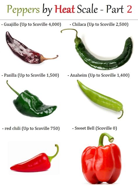 List Of Peppers