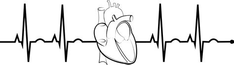Heart Rate Bpm Ecg Ekg Line Art Free Transparent Png Vrogue Co