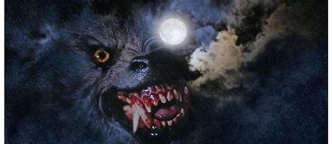 le loup garou de londres reprend du poil de la bête le point