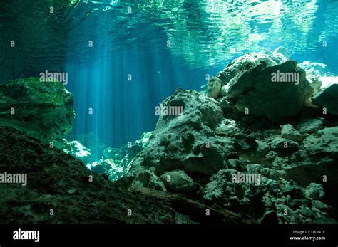 A Cenote Cave Shot Underwater Stock Photo Alamy