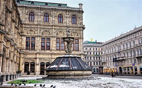 배경 화면 비엔나 오스트리아 도시 거리 동상 1920x1200 Hd 그림 이미지