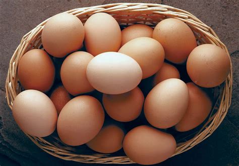 Why Egg Is Not A Non Vegetarian Item Spillyourthoughts