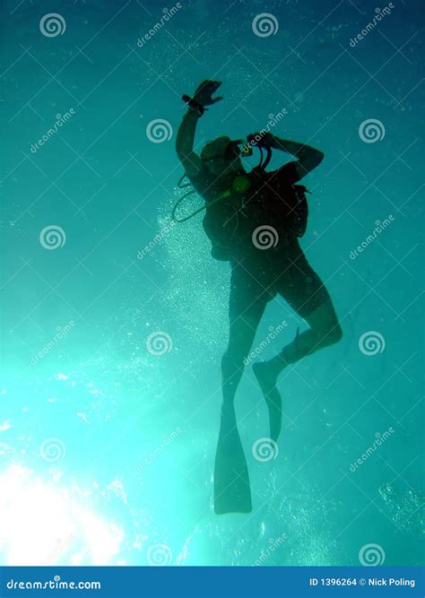 Diver Ascends Stock Photo Image Of Adventure Explore 1396264