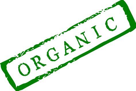 Organic Stamp Png Transparent