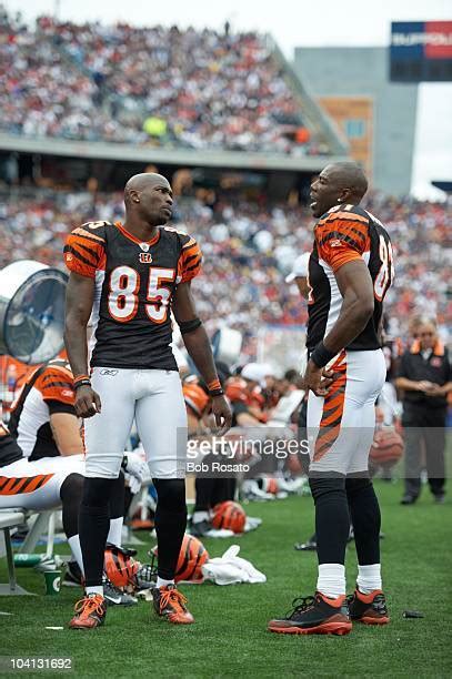 Chad Johnson Terrell Owens Photos And Premium High Res Pictures Getty