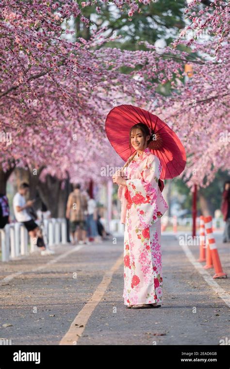 Woman In Yukata Kimono Dress Holding Umbrella And Looking Sakura