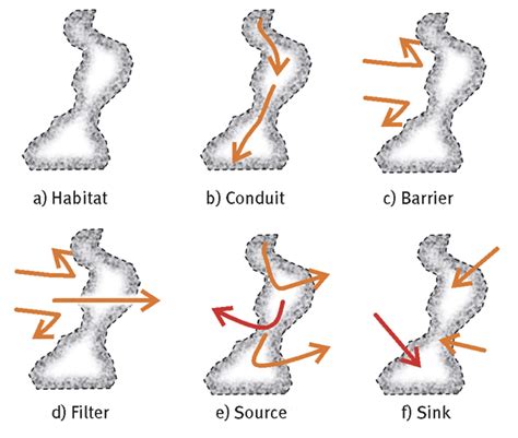 A species habitat can be seen as the physical manifestation of its ecological niche. Establishment of a National ecological network to conserve ...