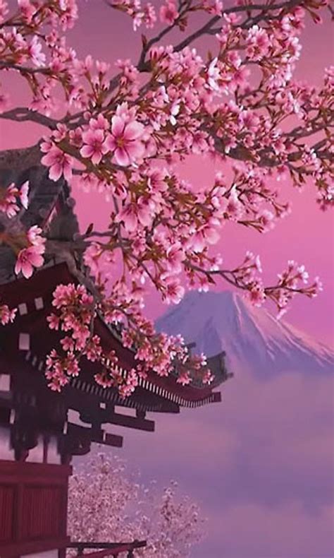 3d Blooming Sakura Live Wallpaper Free Android Live