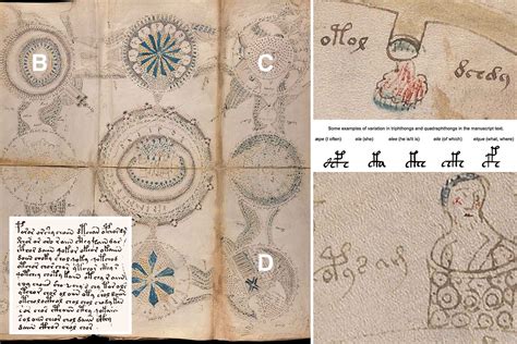 Voynich Manuscript Dubbed World S Most Mysterious Text Finally Decoded By Uk Genius