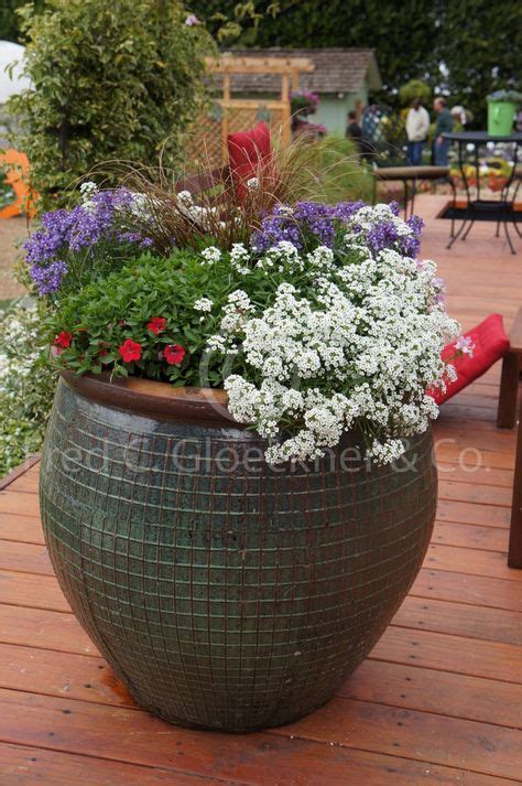 Big Containers Proven Winners With Images Plants Outdoor Gardens
