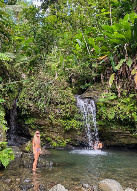 Visiting El Yunque National Forest Everything You Need To Know