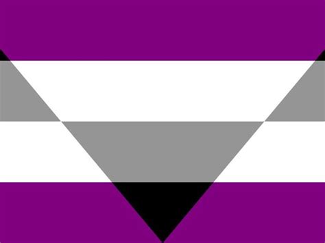 Pride flags are a diverse set of flags that are used for representing a gender or sexual identity that is fully part of the lgbt community. How Well do you Know LGBTQ+ Flags? | Playbuzz