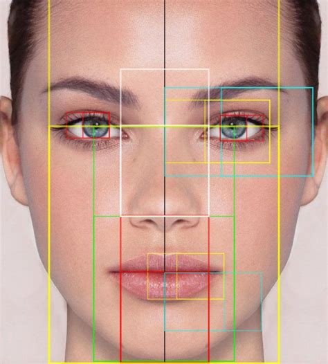 Golden Mean Calipers The Golden Ratio And Eyebrows Face Proportions