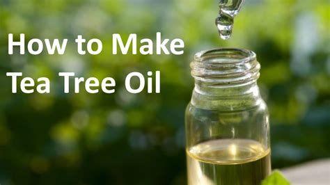 How To Make Tea Tree Oil Anita Fincham Aromatherapy Massage